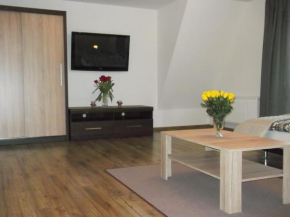 Apartamenty Lejówka